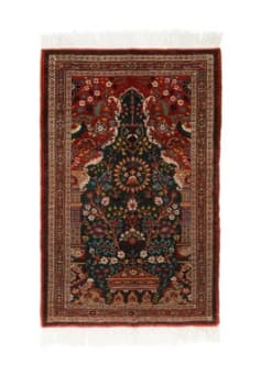 Carpet  Sepas