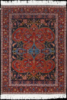 Carpet  Delroba